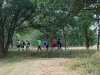 IMG-20190817-WA0004