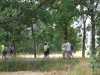 IMG-20190817-WA0008